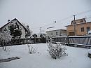 Třibřichy